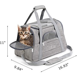 Airline Approved Pet Carrier