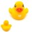 Baby Rubber Duck